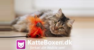 KatteBoxen